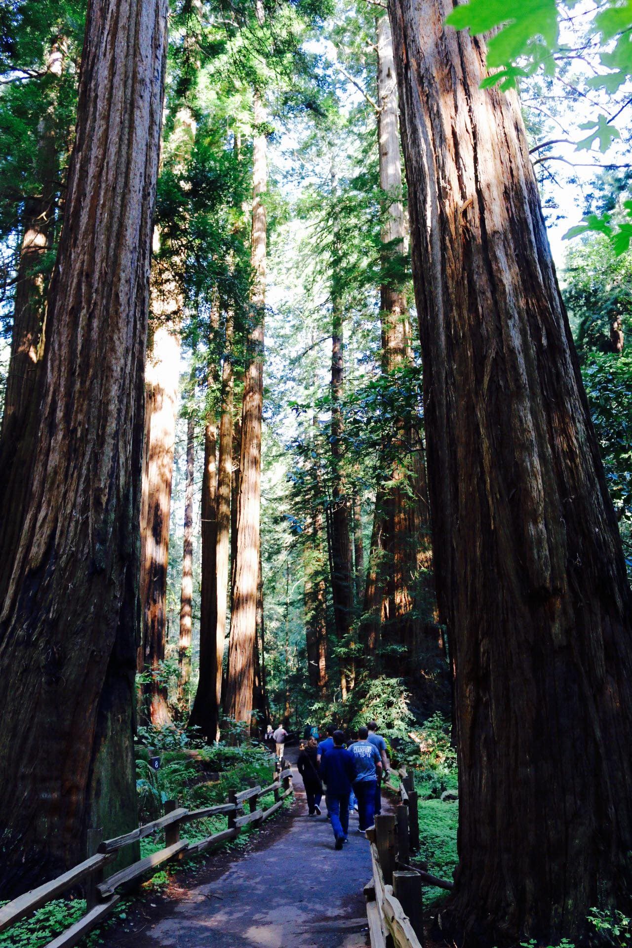 coasting it on the west – +portland