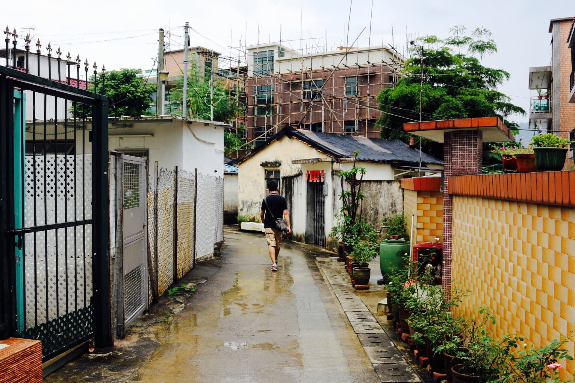 the wanderer and the seeker