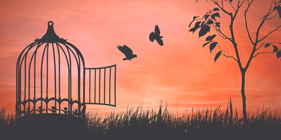 rovik. and friends discuss: the ethics of freedom